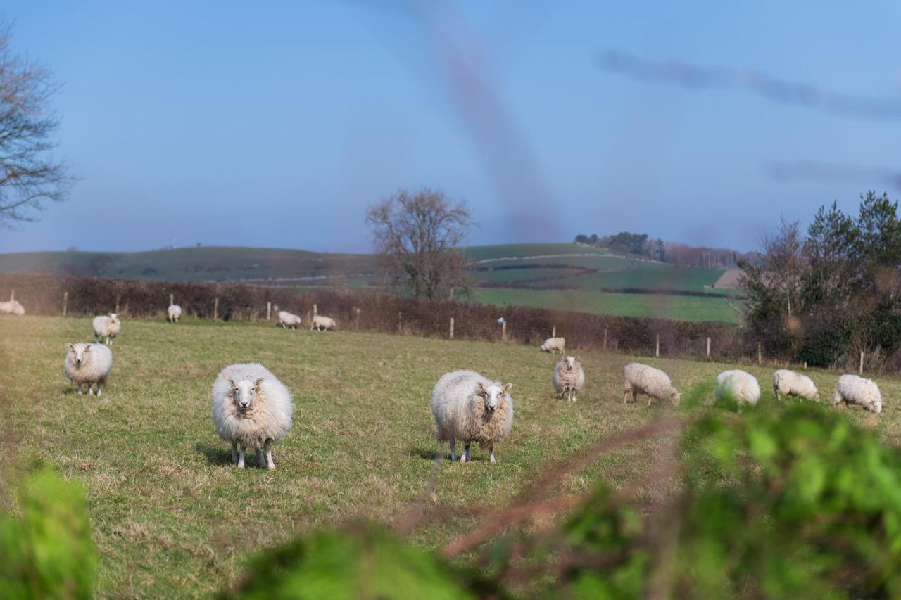 Beautiful Countryside Cottage On The North Wales Coast Abergele Eksteriør billede